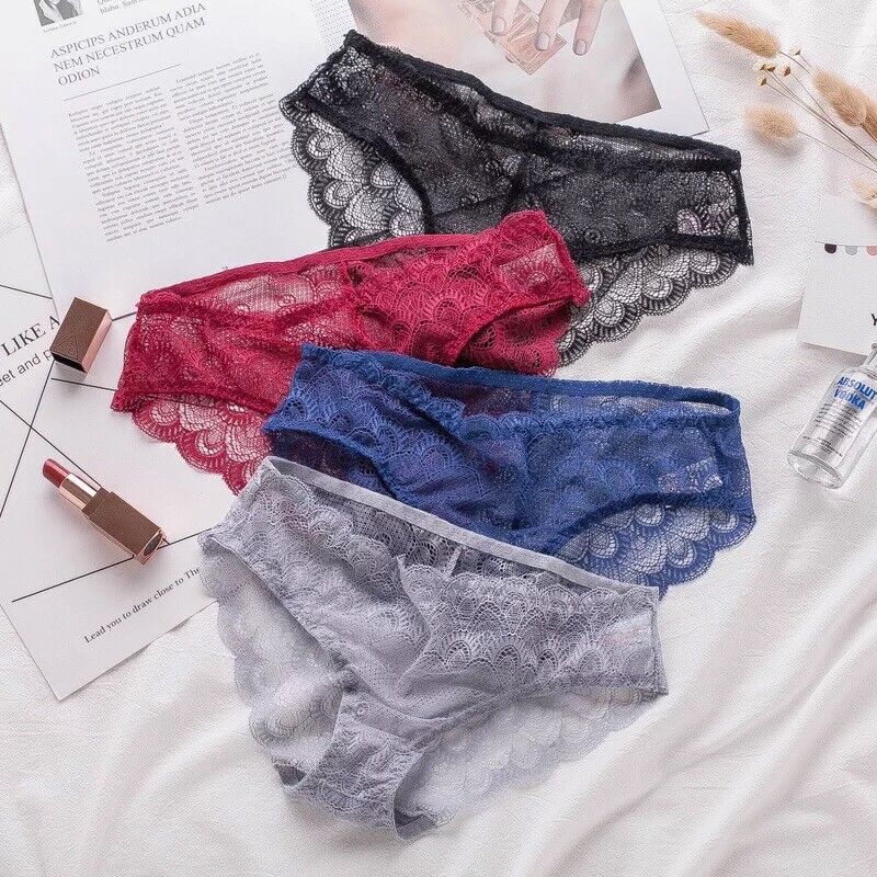 Sexy Sheer Lace Bikini Brief Undies Pack (of 4) - Pionie