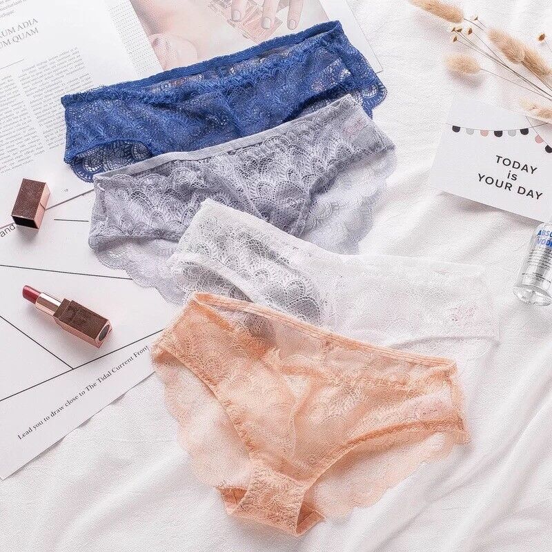 Sexy Sheer Lace Bikini Brief Undies Pack (of 4) - Pionie
