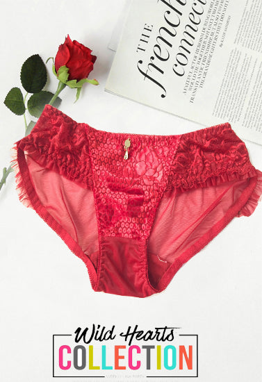 Female Perspective Luxurious Pendent Maroon Lace Brief - Pionie