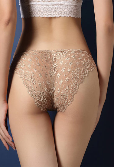 Ladies Best Transparent Lace Hipster Brief Pk Of 2 - Pionie