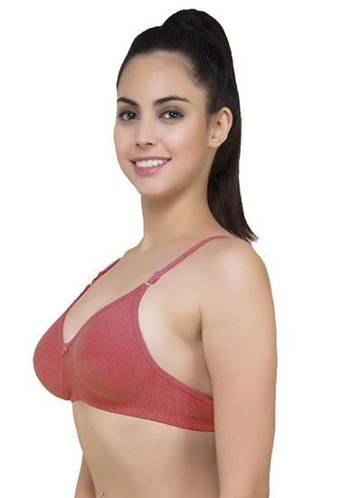 Lightly Padded classic comfort bra pack of 2 - Pionie